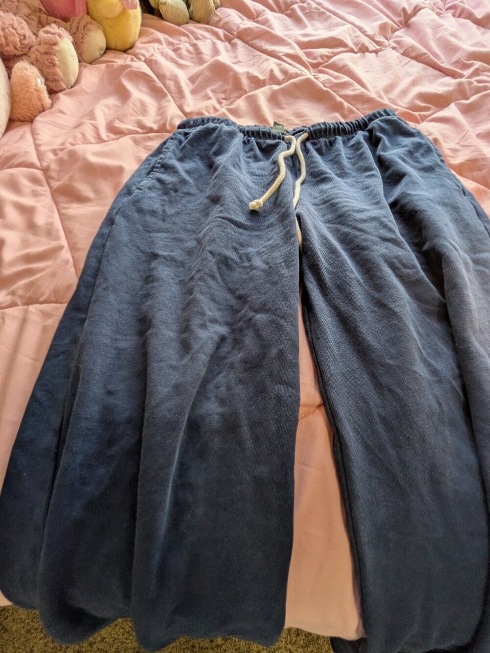 Wild fable sweatpants